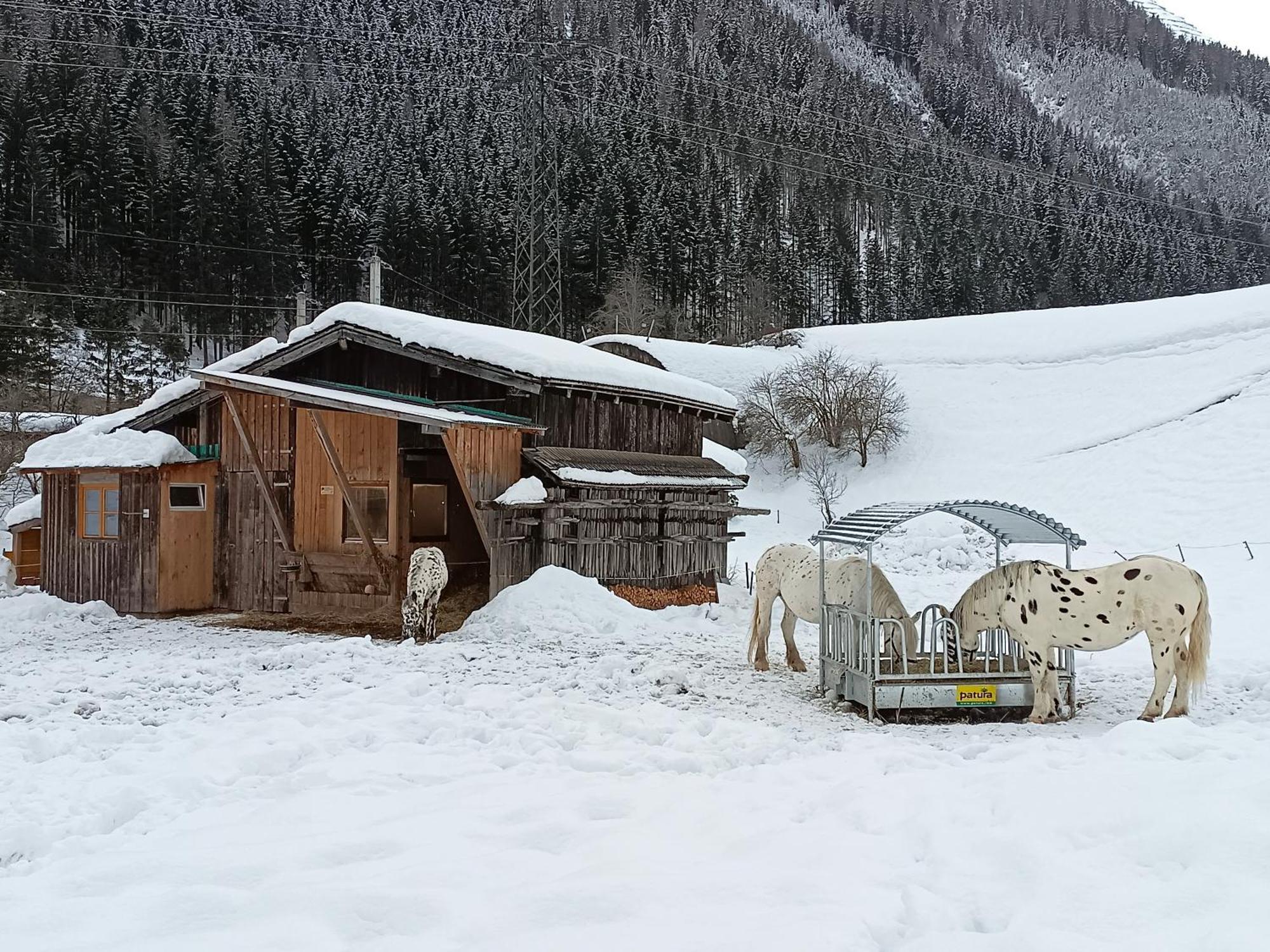 Burgerhof Villa Pettneu am Arlberg Ngoại thất bức ảnh